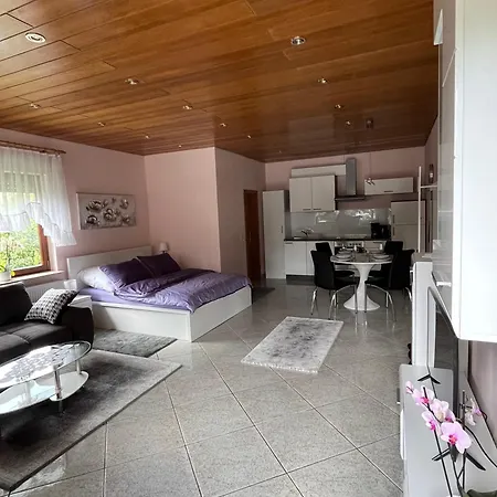 Studio Apartman Anita Velika Gorica Exterior photo