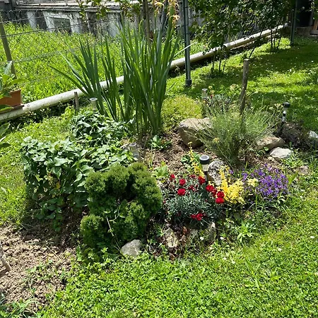 Studio Apartman Anita Velika Gorica Exterior photo